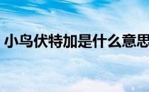 小鸟伏特加是什么意思（小鸟伏特加是什么）