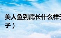 美人鱼到底长什么样子（世上美人鱼长什么样子）