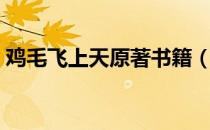 鸡毛飞上天原著书籍（鸡毛飞上天原型是谁）