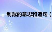 制裁的意思和造句（制裁的意思是什么）