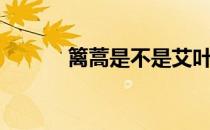 篱蒿是不是艾叶（篱蒿怎么炒）
