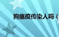 狗瘟疫传染人吗（狗瘟疫传染人吗）