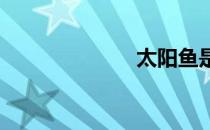 太阳鱼是什么鱼