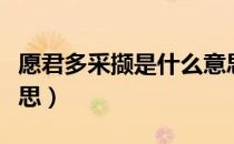 愿君多采撷是什么意思（愿君多采撷是什么意思）
