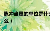 脉冲当量的单位是什么（脉冲当量的单位是什么）