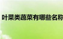 叶菜类蔬菜有哪些名称（叶菜类蔬菜有哪些）