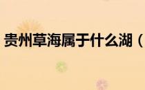 贵州草海属于什么湖（贵州草海属于哪个市）