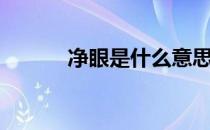 净眼是什么意思（净眼是什么）