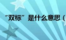 “双标”是什么意思（双标是什么意思举例）