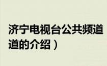 济宁电视台公共频道（关于济宁电视台公共频道的介绍）