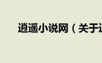 逍遥小说网（关于逍遥小说网的介绍）