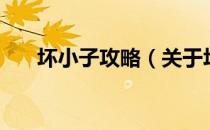 坏小子攻略（关于坏小子攻略的介绍）