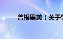 曾根里美（关于曾根里美的介绍）