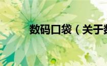 数码口袋（关于数码口袋的介绍）