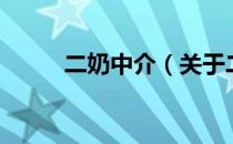 二奶中介（关于二奶中介的介绍）