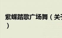 紫蝶踏歌广场舞（关于紫蝶踏歌广场舞的介绍）