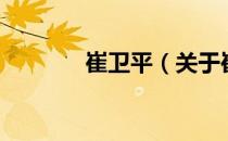 崔卫平（关于崔卫平的介绍）