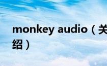 monkey audio（关于monkey audio的介绍）