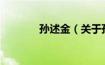 孙述金（关于孙述金的介绍）