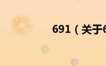 691（关于691的介绍）