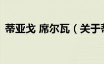蒂亚戈 席尔瓦（关于蒂亚戈 席尔瓦的介绍）