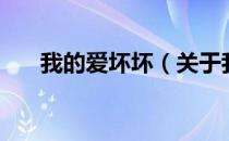 我的爱坏坏（关于我的爱坏坏的介绍）