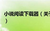 小说阅读下载器（关于小说阅读下载器的介绍）