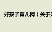 好孩子育儿网（关于好孩子育儿网的介绍）