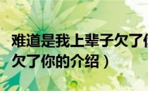 难道是我上辈子欠了你（关于难道是我上辈子欠了你的介绍）