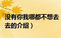 没有你我哪都不想去（关于没有你我哪都不想去的介绍）