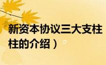 新资本协议三大支柱（关于新资本协议三大支柱的介绍）