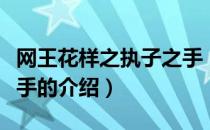 网王花样之执子之手（关于网王花样之执子之手的介绍）