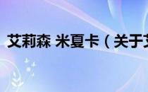 艾莉森 米夏卡（关于艾莉森 米夏卡的介绍）