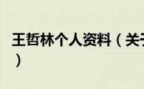 王哲林个人资料（关于王哲林个人资料的介绍）