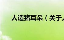 人造猪耳朵（关于人造猪耳朵的介绍）