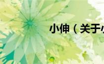小伸（关于小伸的介绍）
