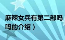 麻辣女兵有第二部吗（关于麻辣女兵有第二部吗的介绍）