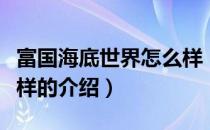 富国海底世界怎么样（关于富国海底世界怎么样的介绍）