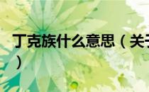 丁克族什么意思（关于丁克族什么意思的介绍）