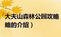 大夫山森林公园攻略（关于大夫山森林公园攻略的介绍）
