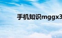 手机知识mggx3ch/a是什么版本