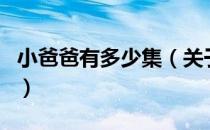 小爸爸有多少集（关于小爸爸有多少集的介绍）