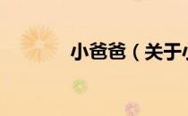 小爸爸（关于小爸爸的介绍）