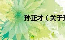 孙正才（关于孙正才的介绍）