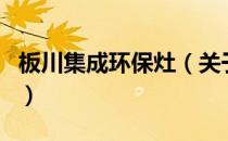 板川集成环保灶（关于板川集成环保灶的介绍）
