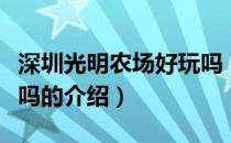 深圳光明农场好玩吗（关于深圳光明农场好玩吗的介绍）