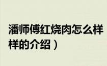 潘师傅红烧肉怎么样（关于潘师傅红烧肉怎么样的介绍）