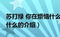 苏打绿 你在烦恼什么（关于苏打绿 你在烦恼什么的介绍）