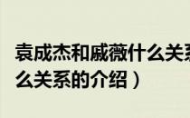 袁成杰和戚薇什么关系（关于袁成杰和戚薇什么关系的介绍）