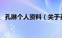 孔琳个人资料（关于孔琳个人资料的介绍）